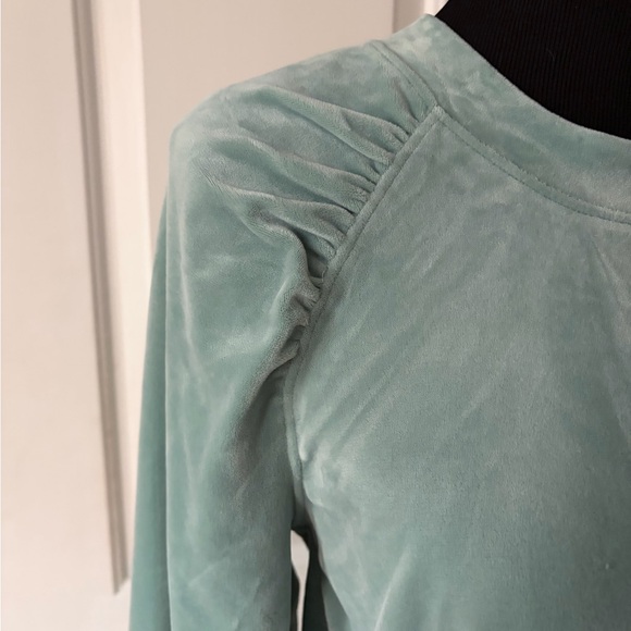 Anthropologie Saturday Sunday  Green Velour Long Sleeve Top M - Picture 2 of 4
